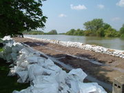2006